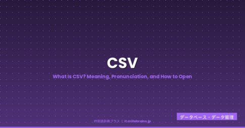 What Is CSV - IT Dictionary Plus